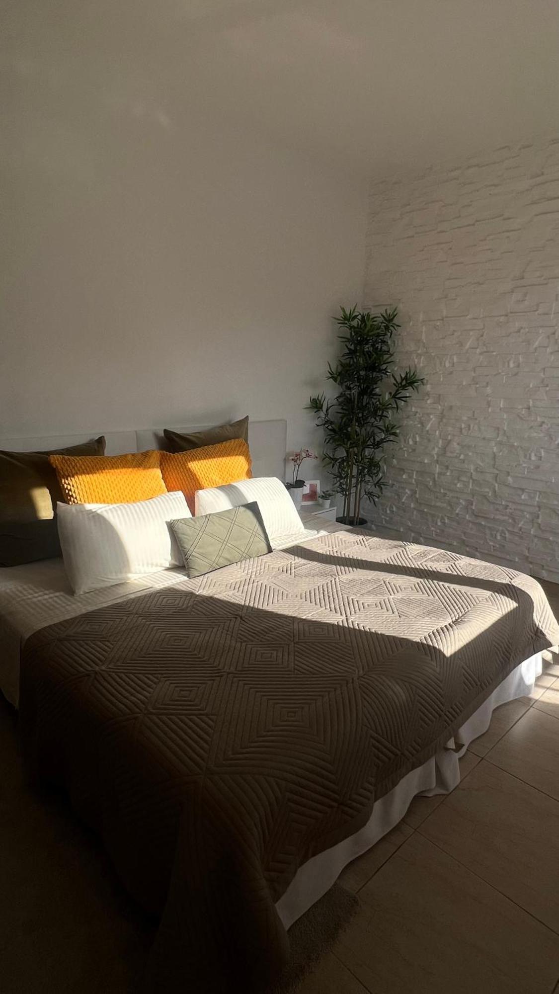 Tenerife Te Espera! Apartment Icod De Los Vinos Exterior foto